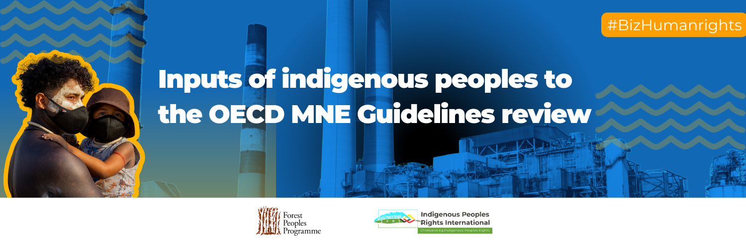 Inputs of Indigenous Peoples to the OECD MNE Guidelines review