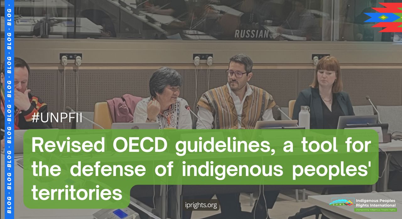 Revised OECD guidelines, a tool for the defense of indigenous peoples' territories
