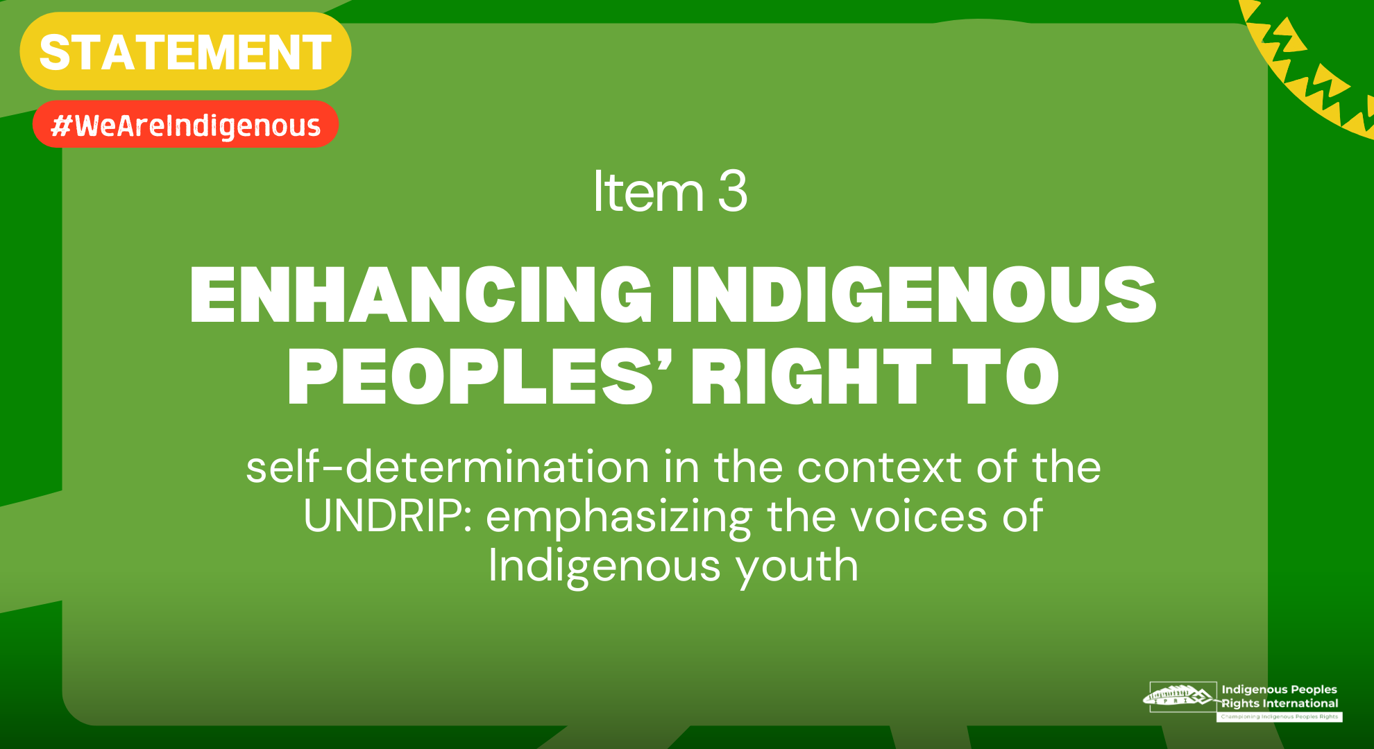 UN Permanent Forum on Indigenous Issues. 23nd session - Item 3