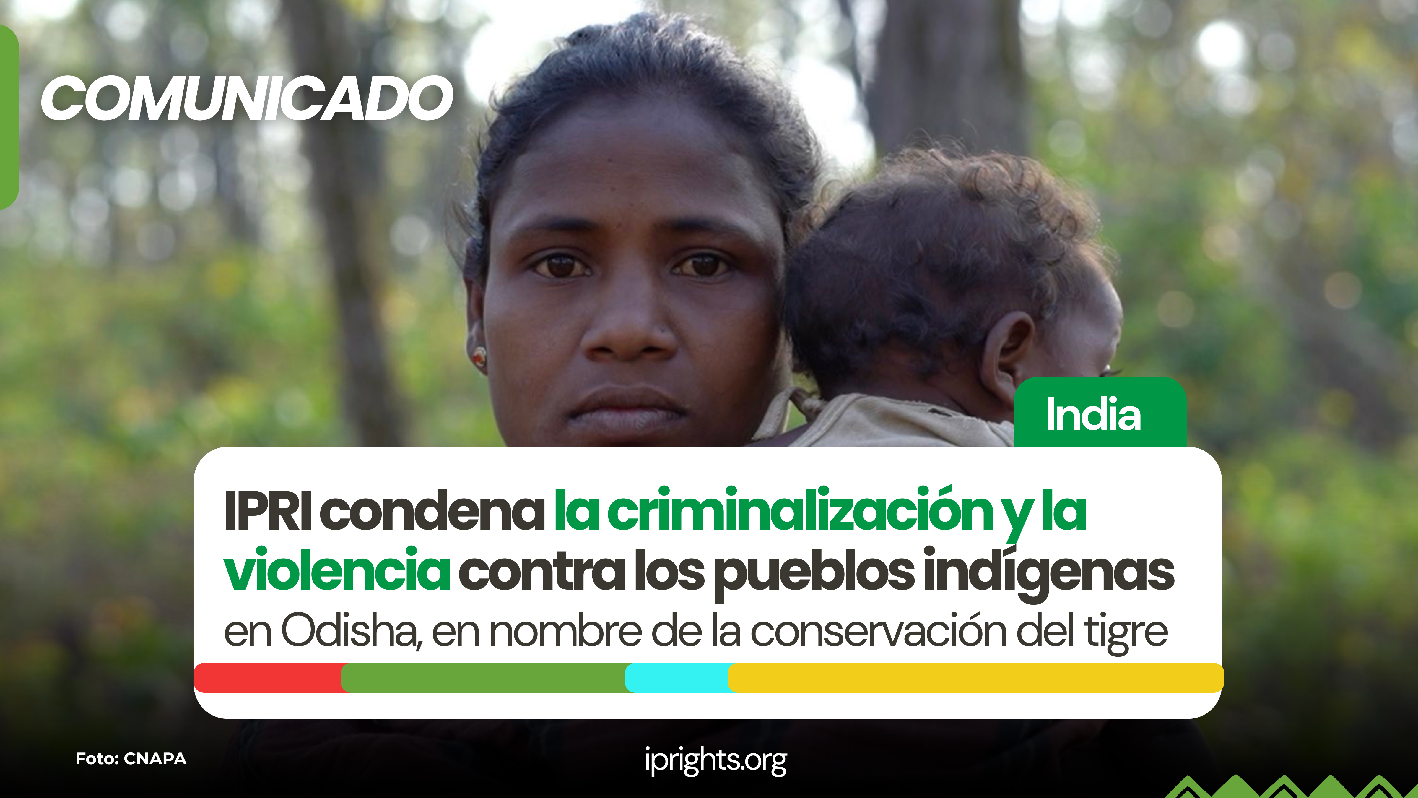 INDIA || IPRI condena la criminalización y la violencia contra los pueblos indígenas en Odisha, en nombre de la conservación del tigre