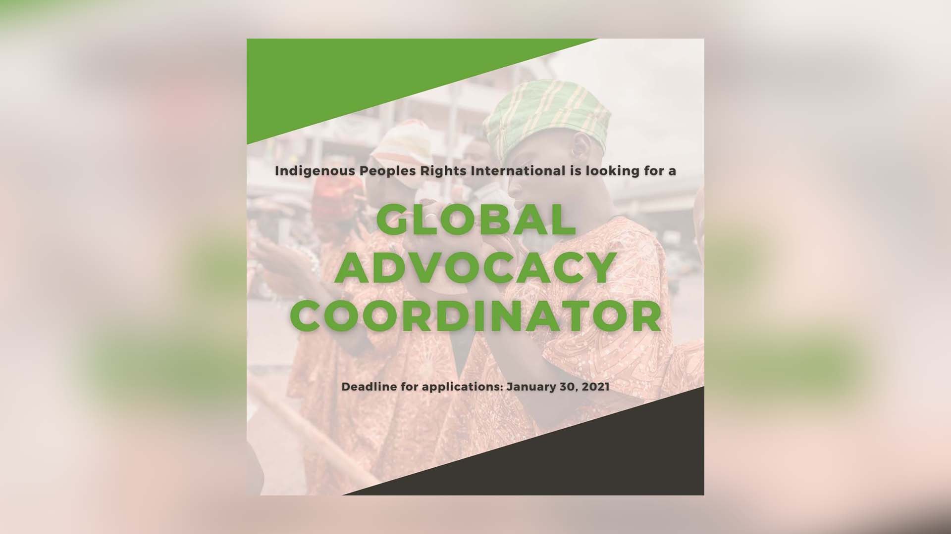 Call for Global Advocacy Coordinator