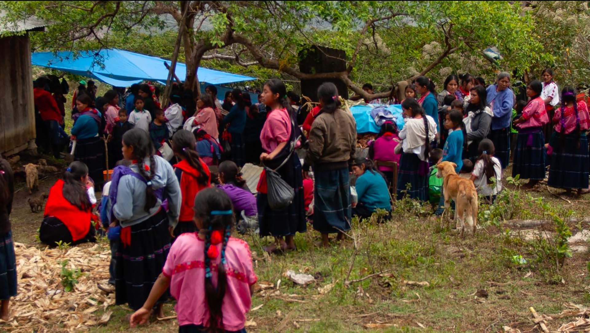 Concern at new armed attacks against indigenous communities and prevalence of impunity in the state of Chiapas