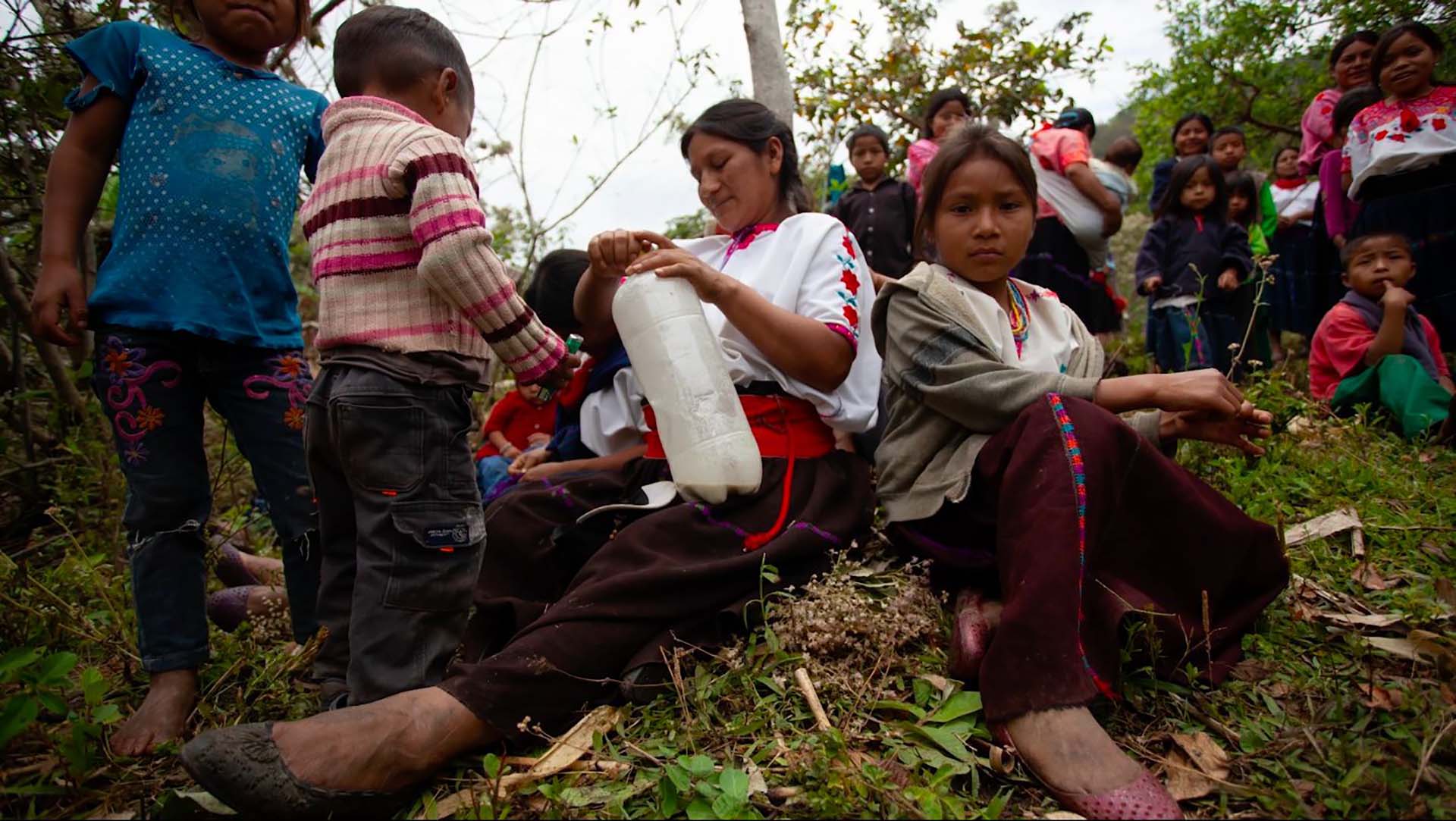 México || IPRI Urges The Mexican State To Increment Its Efforts To Guarantee The Life And Security Of The Tsotsil People Of Aldama, Chiapas, In The Face Of Increasing Armed Attacks