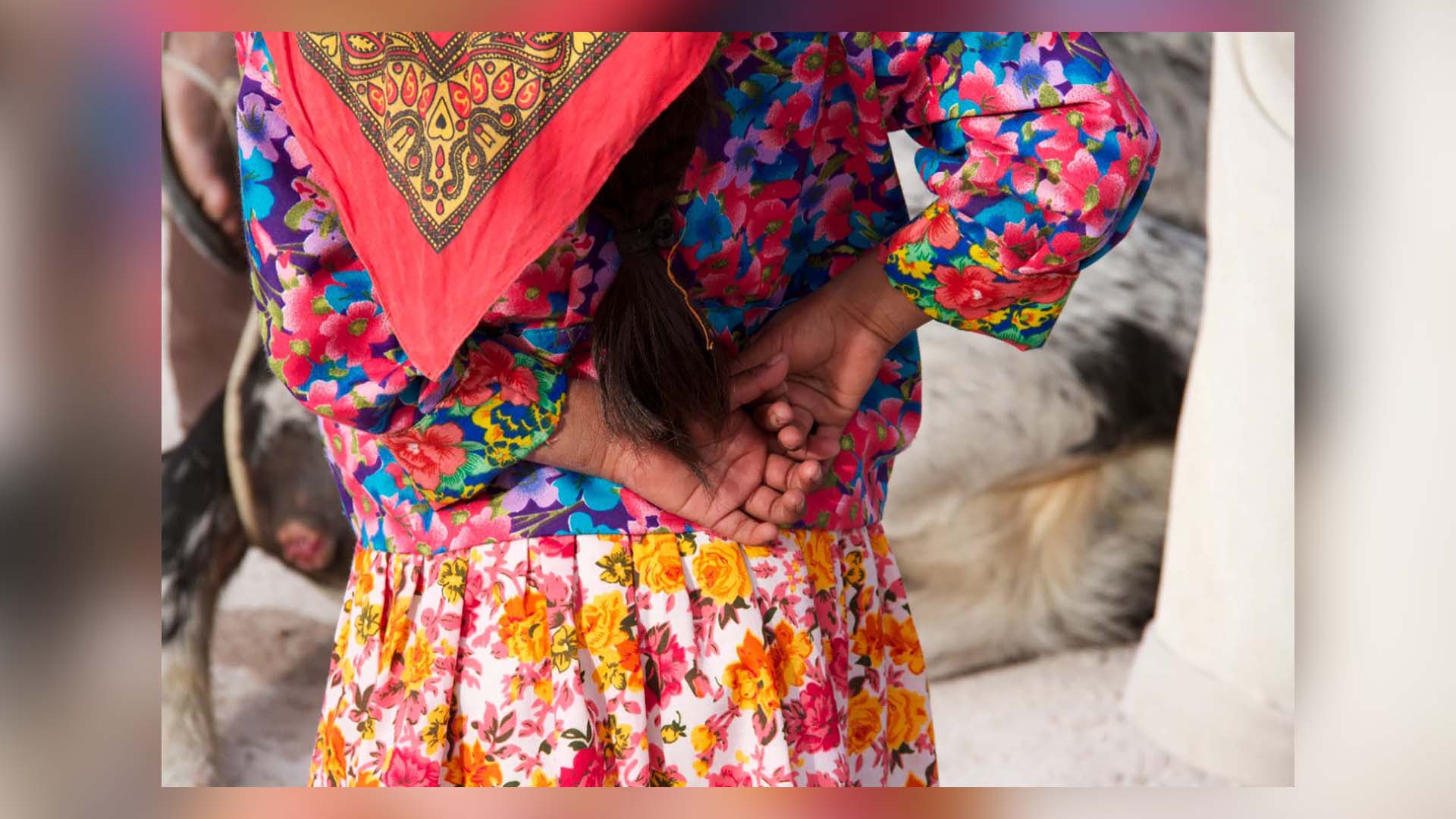 MEXICO || Urgent call to the Mexican State to guarantee justice and protection for the indigenous peoples and communities of the Sierra Tarahumara