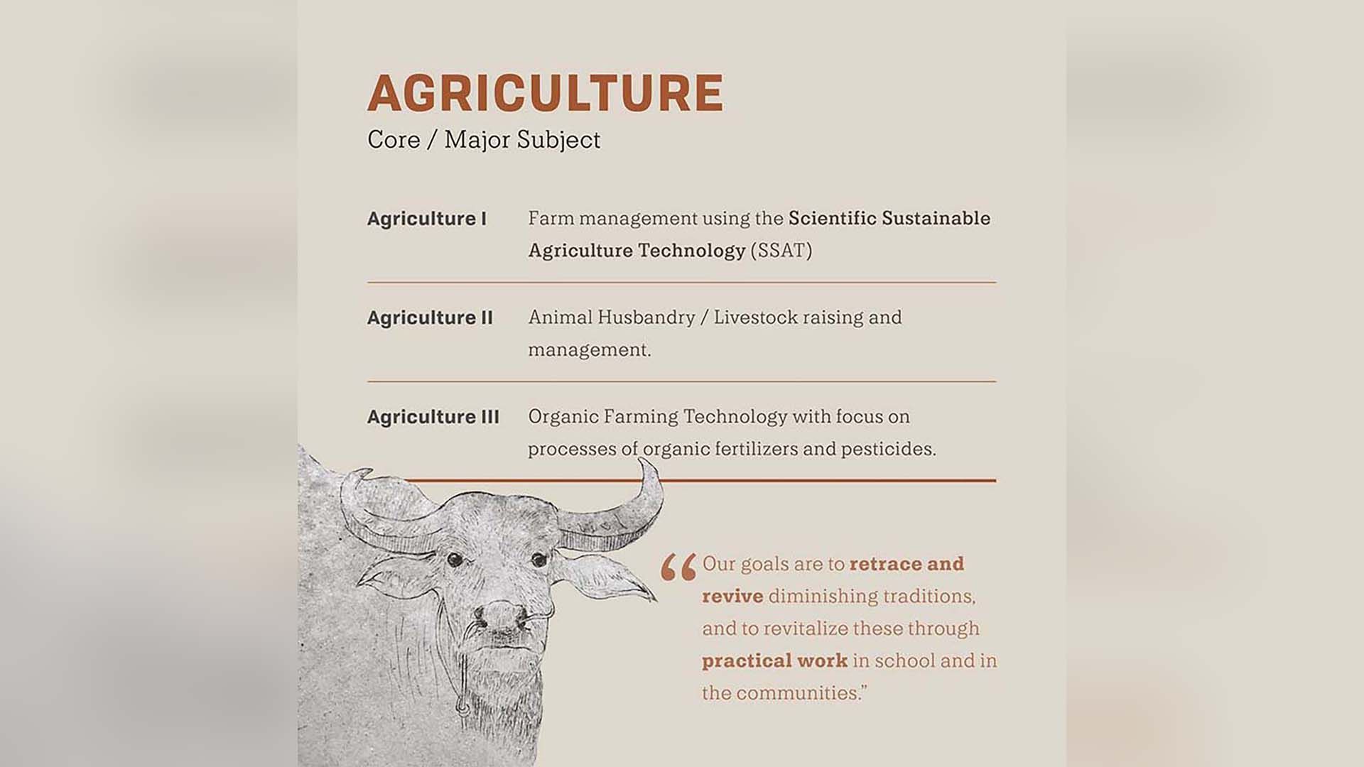 Philippines: Government’s terrorist-tagging denies right to education to thousands of indigenous Lumad