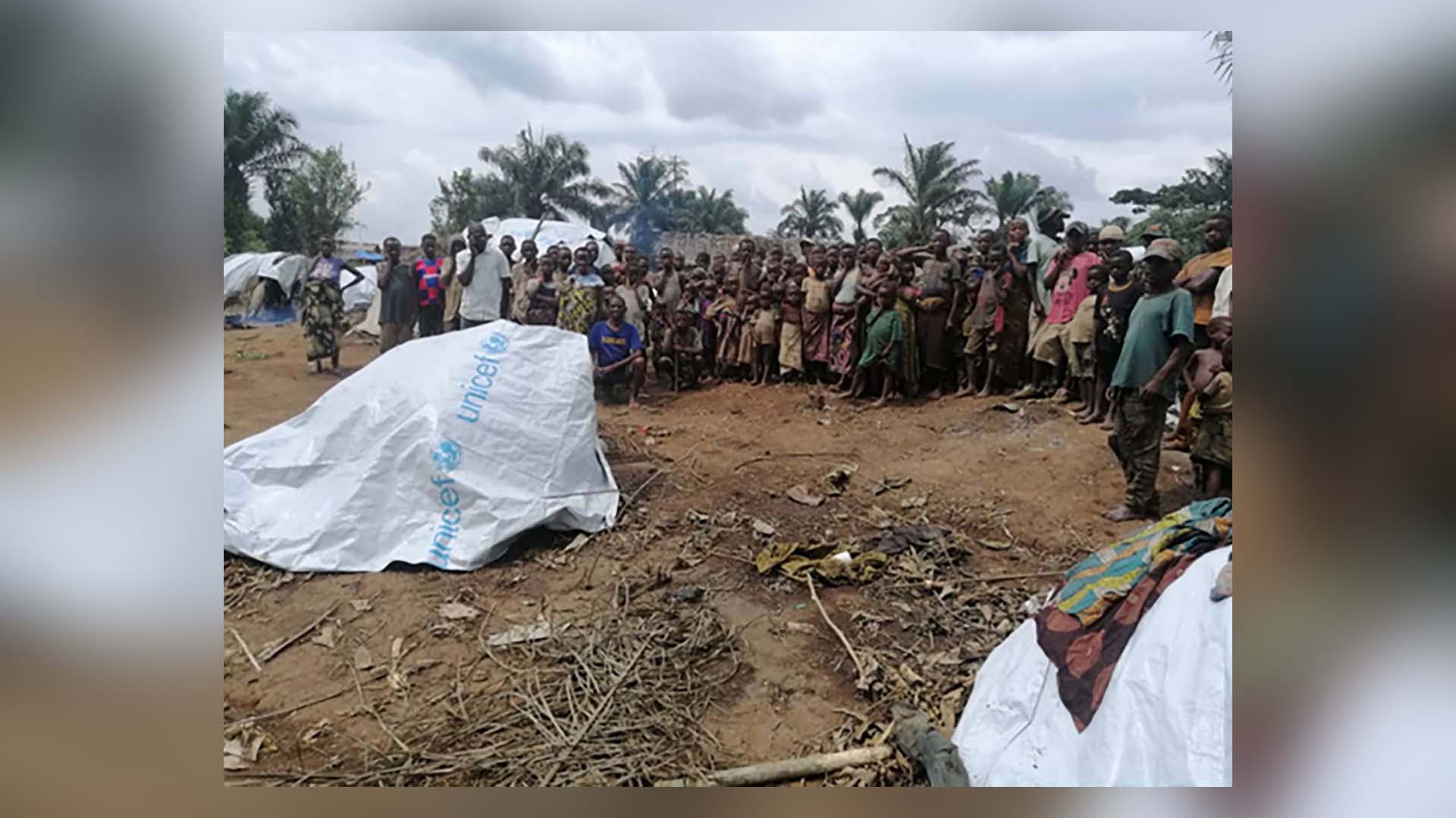 Statement: Ensure justice for massacred Bambote Indigenous Peoples in the Democratic Republic of Congo (DRC)