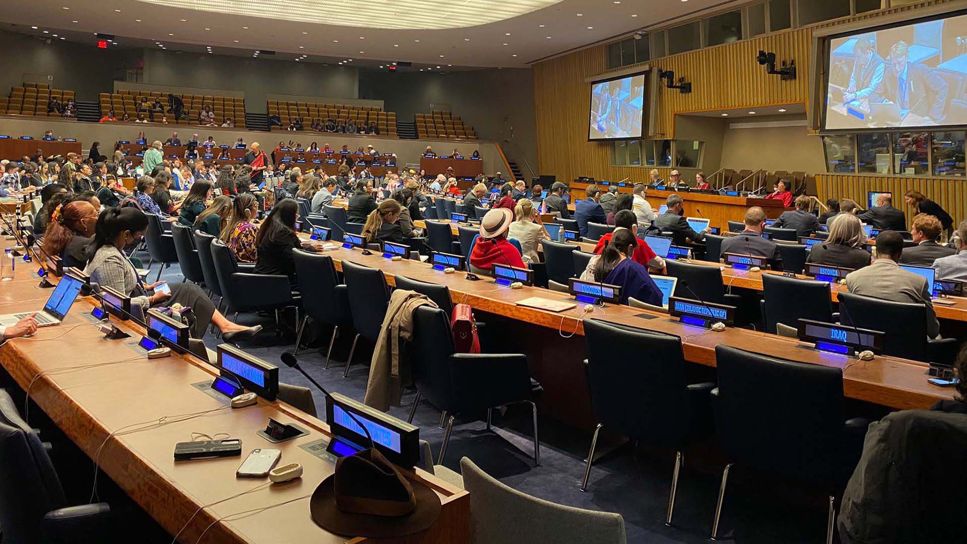 UNPFII: Statement Of IPRI On Item 5 (D): Human Rights Dialogue With The Special Rapporteur On The Rights Of Indigenous Peoples And The Expert Mechanism On The Rights Of Indigenous Peoples