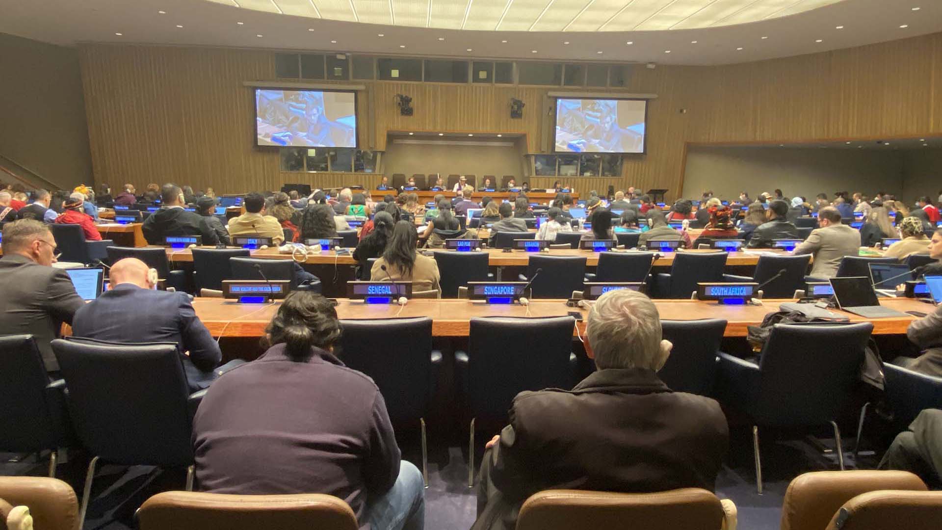 UNPFII: Statement Of IPRI On Item 6: Future Work Of The Permanent Forum, Including Issues Considered By The Economic And Social Council And Emerging Issues