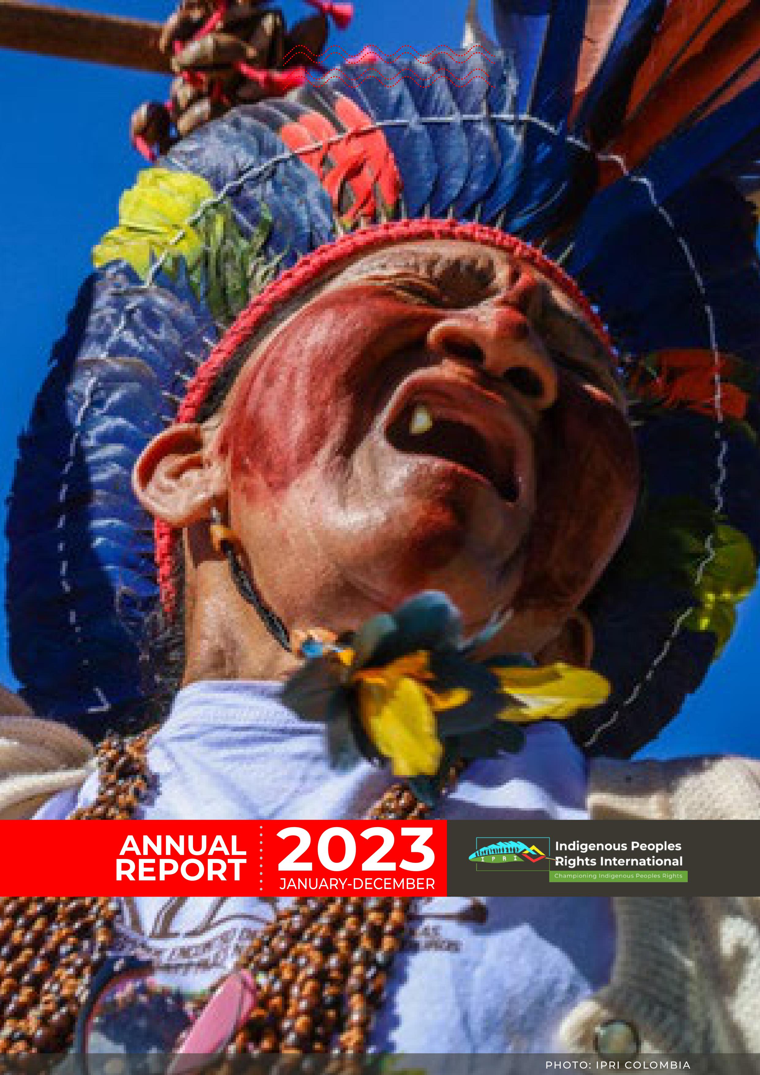 IPRI Annual Report 2023