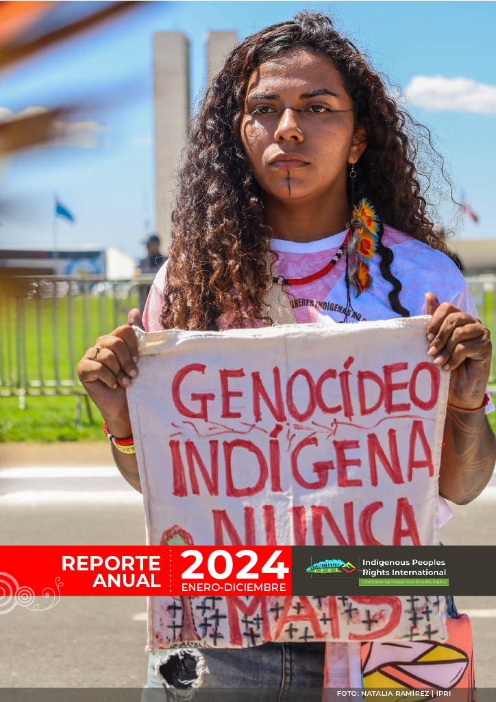 Reporte anual del IPRI 2024