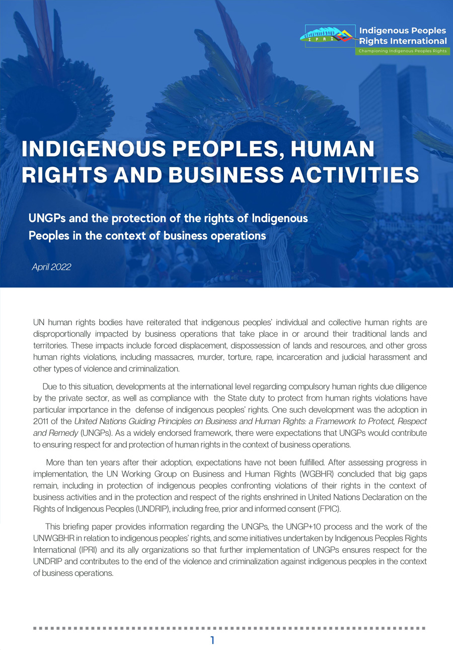 Briefing: UNGPs and The Protection Of The Rights Of Indigenous Peoples In The Context Of Business Operations