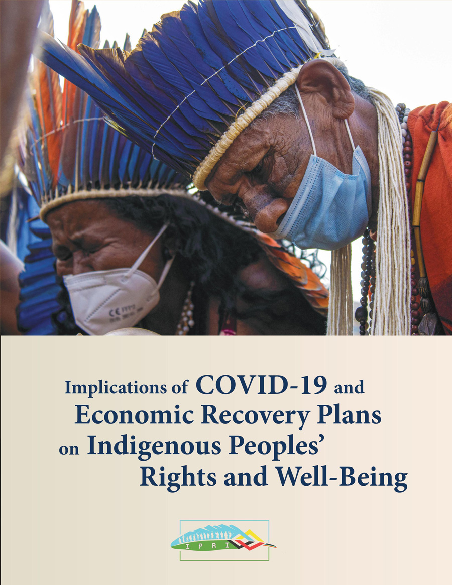 Implications of COVID-19 and Economic Recovery Plans on Indigenous Peoples’ Rights and Well-Being