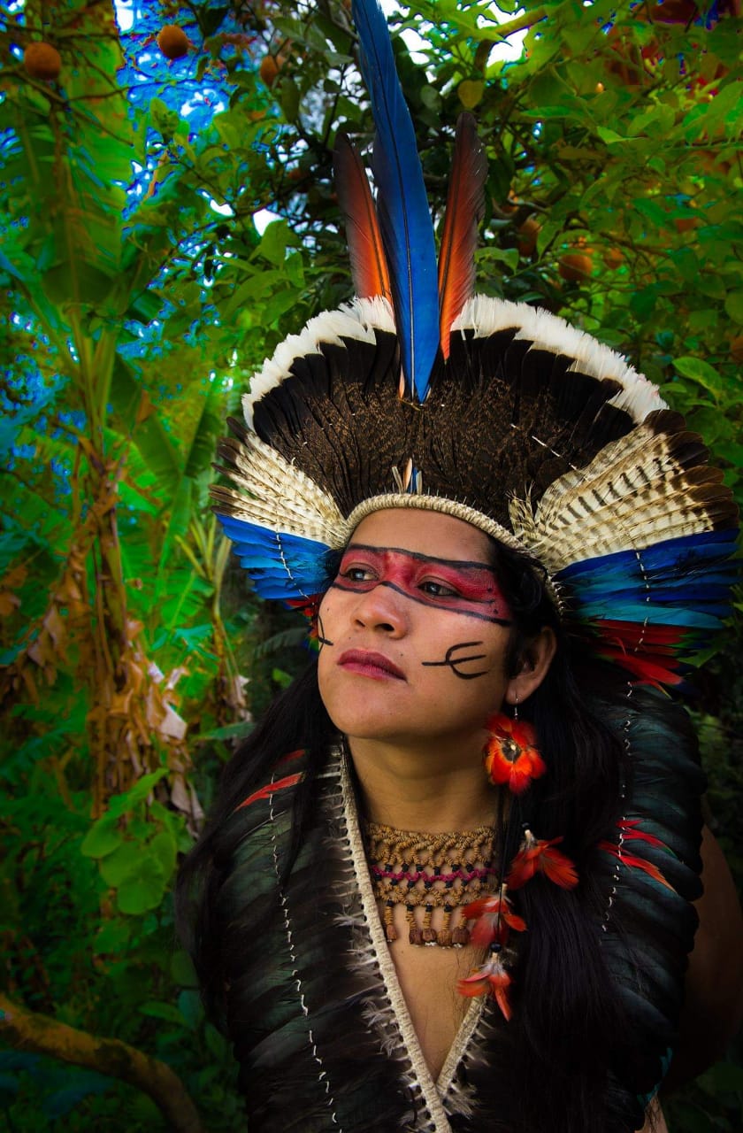 image from: https://twitter.com/FlourishDiverse/status/1274990509166145540