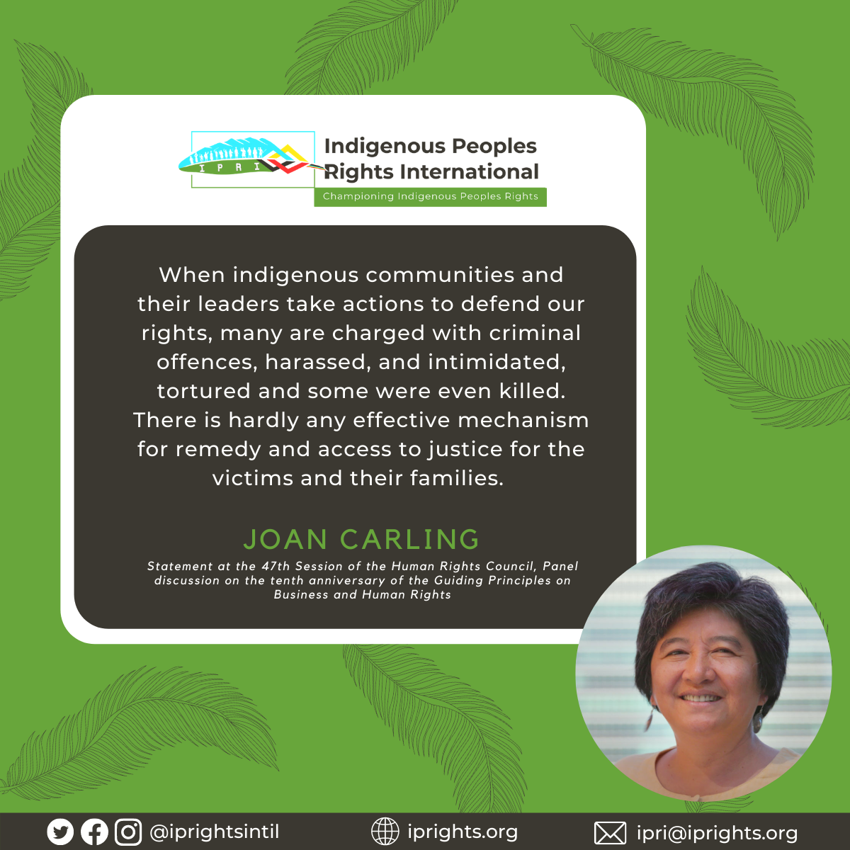 Joan Carling UNGP