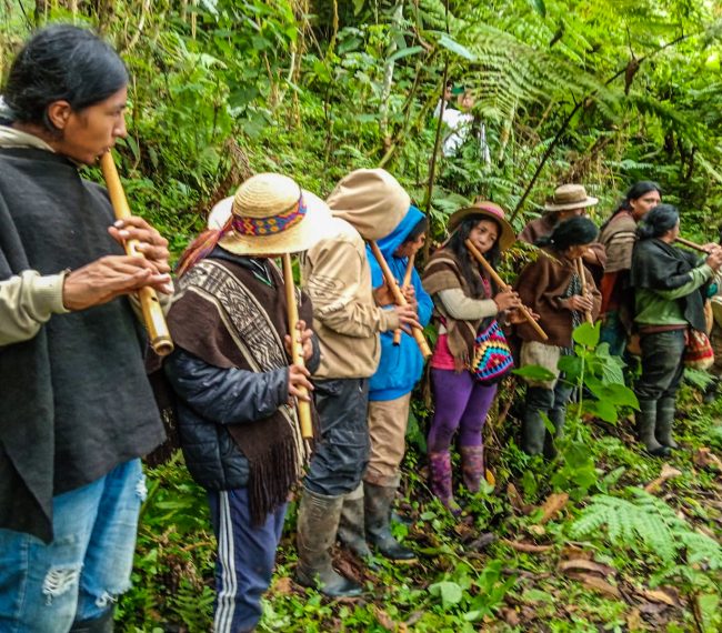 D79AEC39-DD58-4118-8D39-CF70D6FC8432