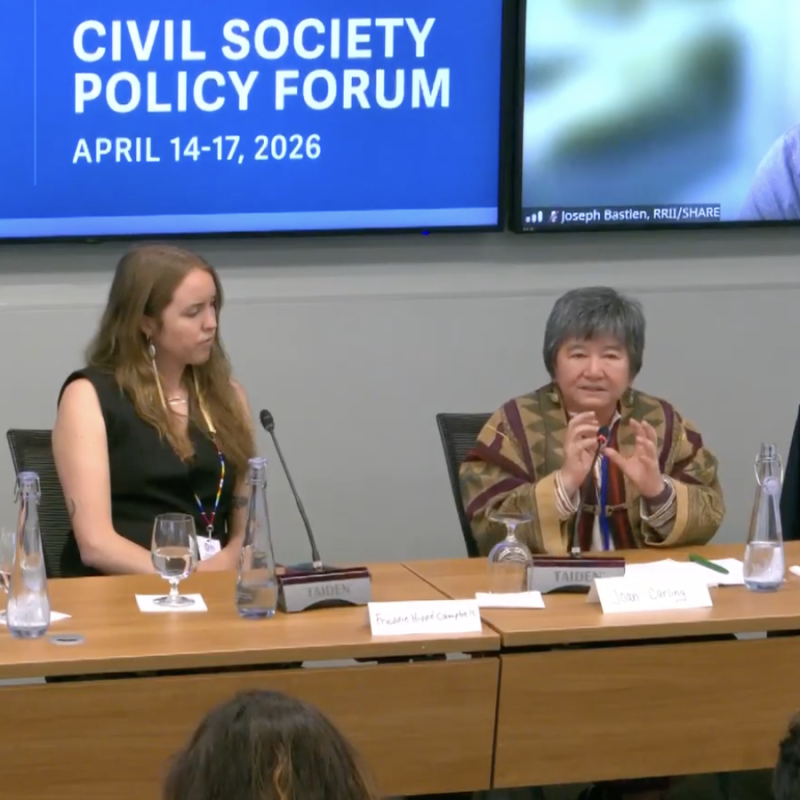World Bank Spring Series side event